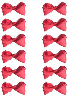  PASSION FRUIT BOWS 5.5IN WIDE 12PCS/$7.50 BW-159-5